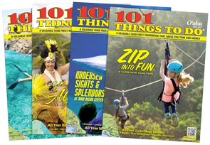 Get a copy of 101 Things To Do