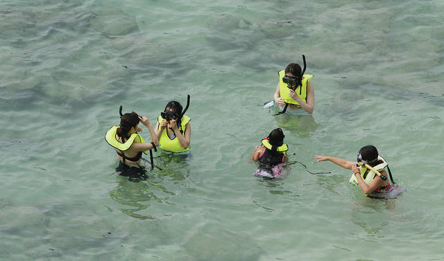 Snorkeling in groups for safety is always a good idea.