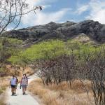Visitors walk the path in front of Diamond Head