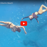 Snorkeling at Electric Beach