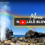 Nakalele Blowhole spouting water